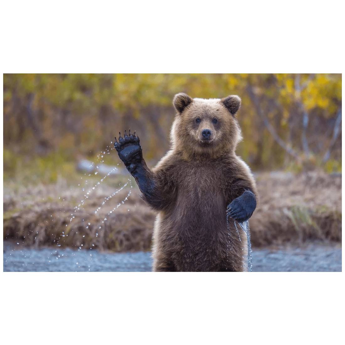 Μωσαϊκό με διαμάντια – ταπισερί Rila Crafts Μωσαϊκό με διαμάντια – ταπισερί Rila Crafts